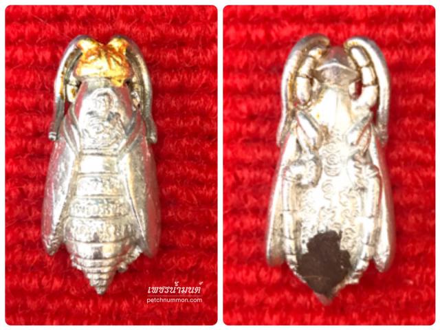 พญาต่อเงินต่อทอง ปี 2549 ขนาดพกพา หลวงพ่อจืด วัดโพธิเศรษฐีวนาราม จ.นครปฐม