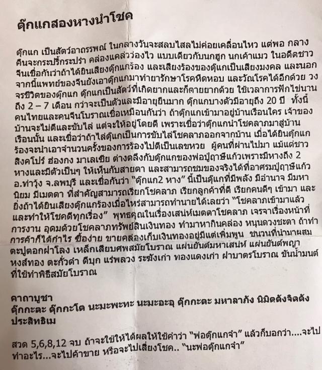 ตุ๊กแก 2 หางนำโชคพระฤาษีปู่แก้วปฐมมุนี อาศรมฤาษีปู่แก้ว จ.ลพบุรี 