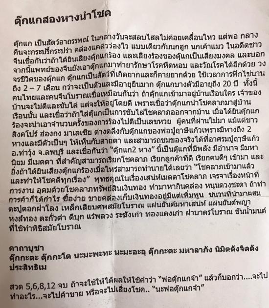 รูปตุ๊กแก 2 หางนำโชคพระฤาษีปู่แก้วปฐมมุนี อาศรมฤาษีปู่แก้ว จ.ลพบุรี