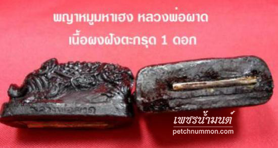 รูป พญาหมูมหาเฮง หลวงพ่อผาด วัดบ้านกรวด