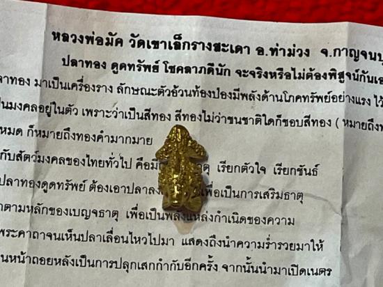 รูปปลาทองดูดทรัพย์โชคลาภดี หลวงพ่อมัค วัดเขาเล็กรางสะเดา จ.กาญจนบุรี
