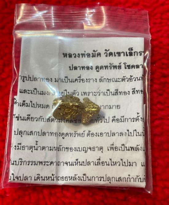 รูปปลาทองดูดทรัพย์โชคลาภดี หลวงพ่อมัค วัดเขาเล็กรางสะเดา จ.กาญจนบุรี